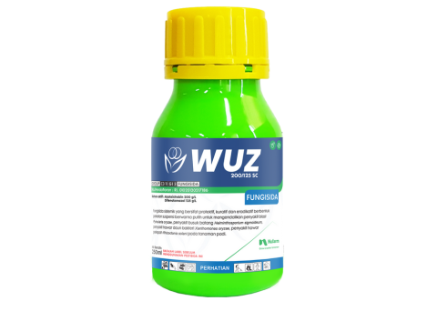 Super erotika BDSM vaginal pirsing