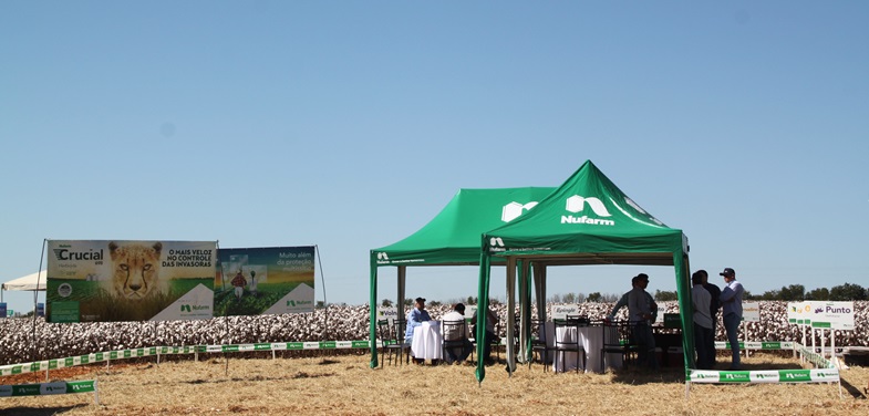 Show Rural Coopavel