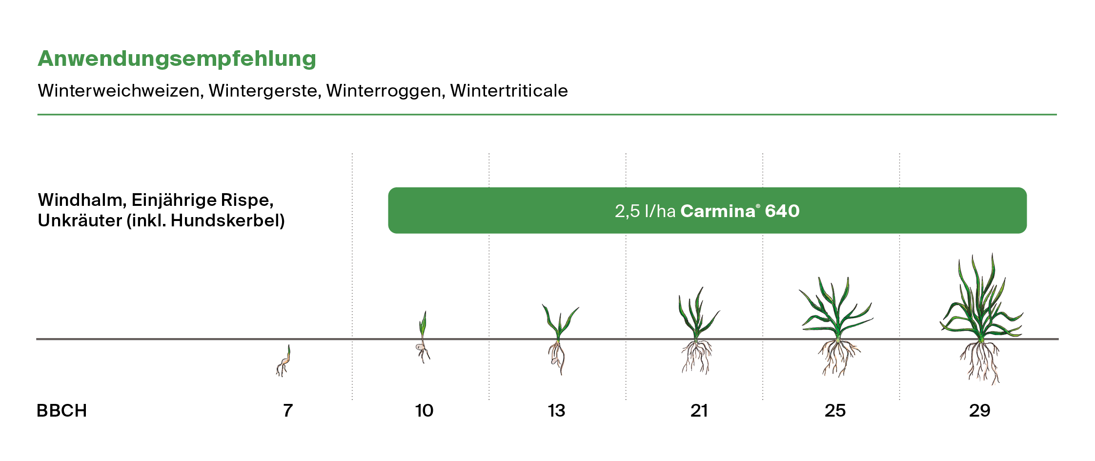 Anwendungsempfehlung Carmina Herbst