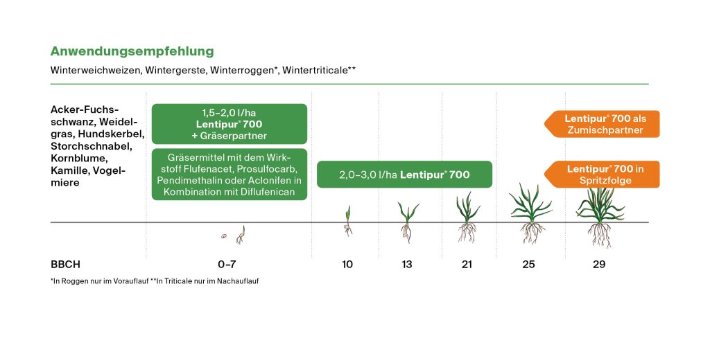 Lentipur Anwendungsempfehlung