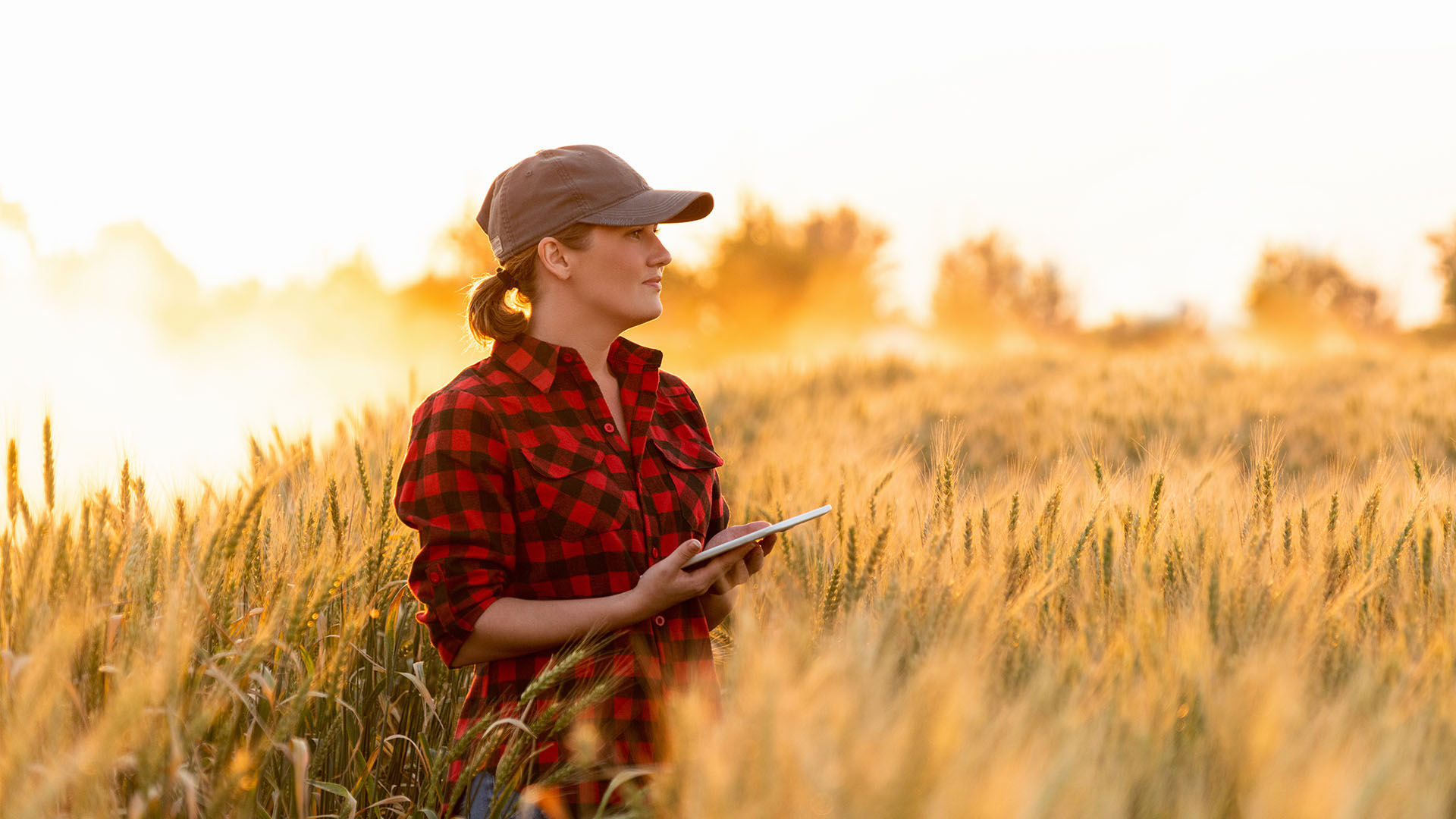Landwirtin im Getreide mit Tablet