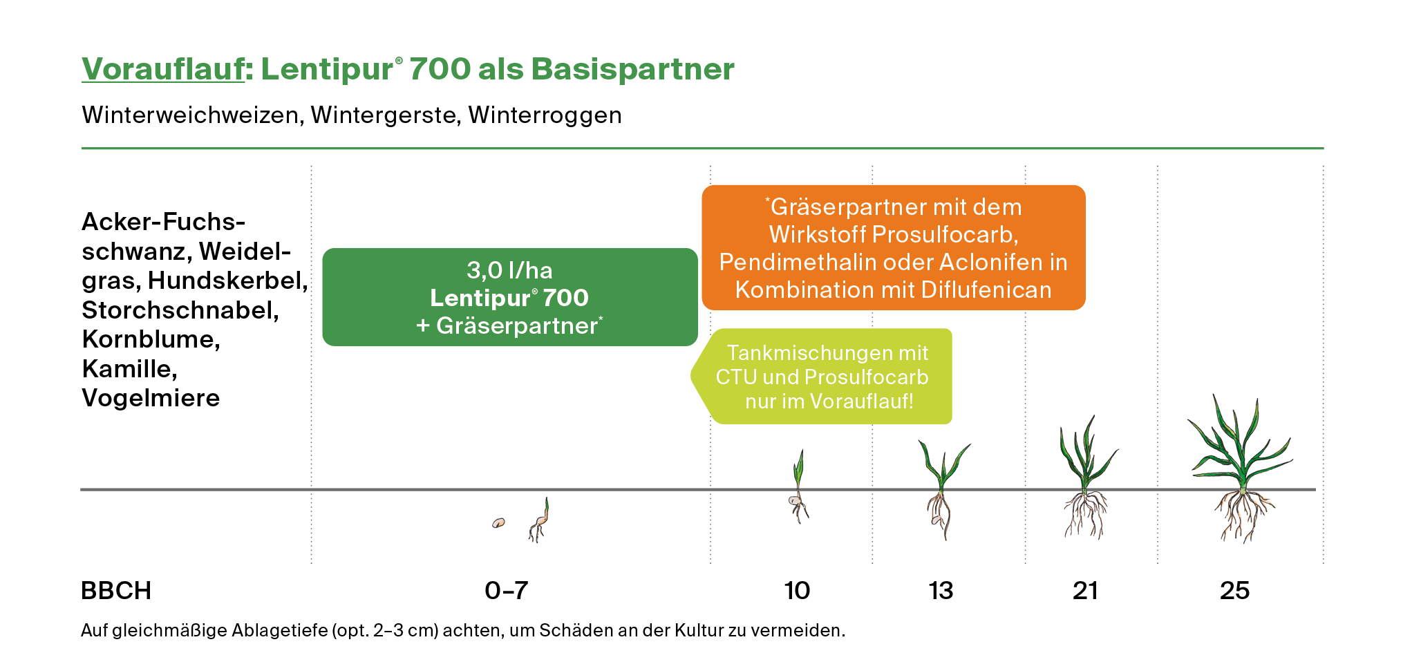 Vorauflauf: Lentipur 700 als Basispartner