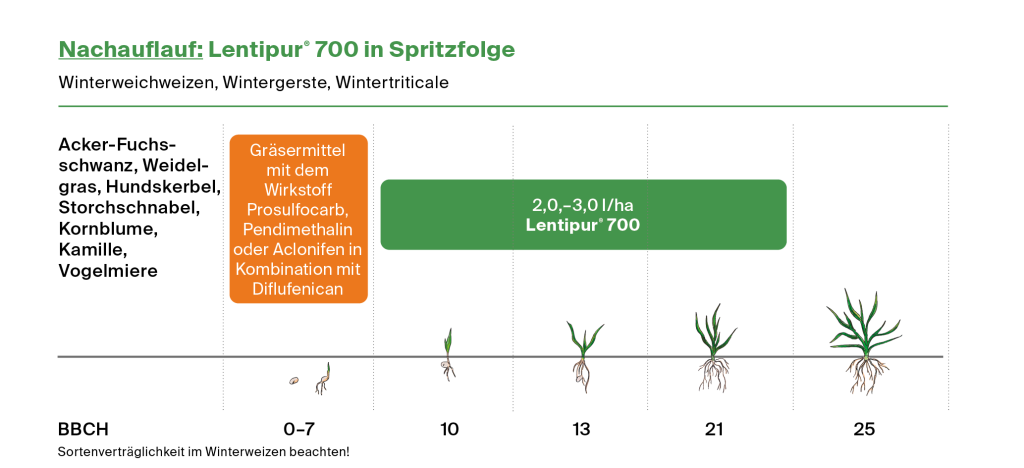 Nachauflauf: Lentipur 700 in Spritzfolge
