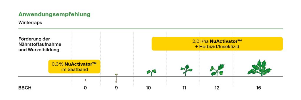 Anwendungsempfehlung NuActivator, 2,0 l/ha von BBCH 11 bis 16 bei Applikation von Herbizid / Insektizid