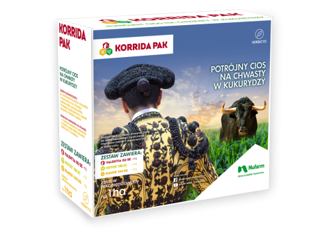 pudełko korridapak