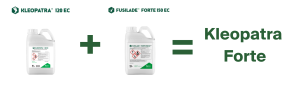 baniak kleopatry i fusilade forte