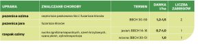 tabelka przedstawiająca dawkowanie