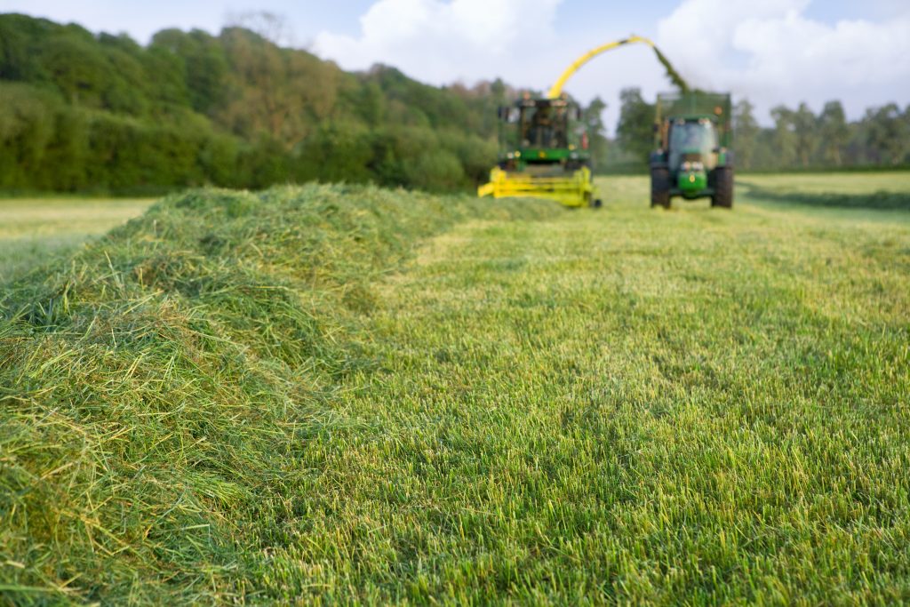 Tractors cutting silage and filling trailer in field Nufarm UK