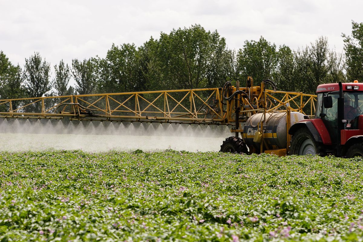 Spraying for potato blight with a trailed sprayer Nufarm UK