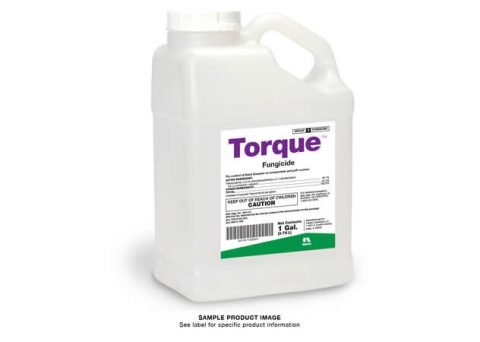 Torque Label Torque™ - US - Crop
