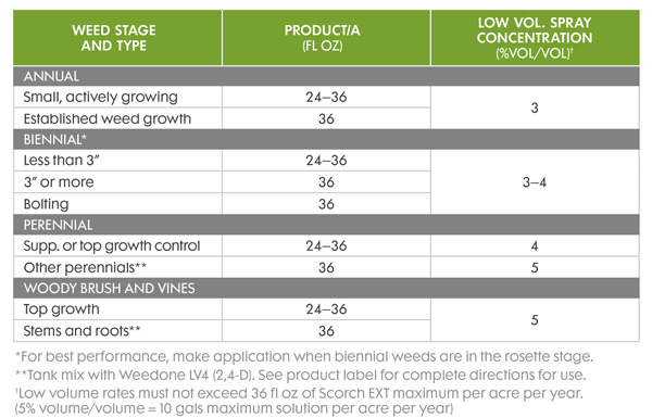 Scorch™ EXT - US - Crop