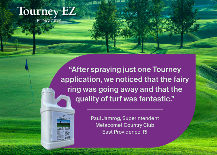 fungicide application fairy ring lawn