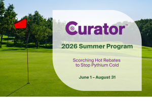 Curator Summer Program 2026