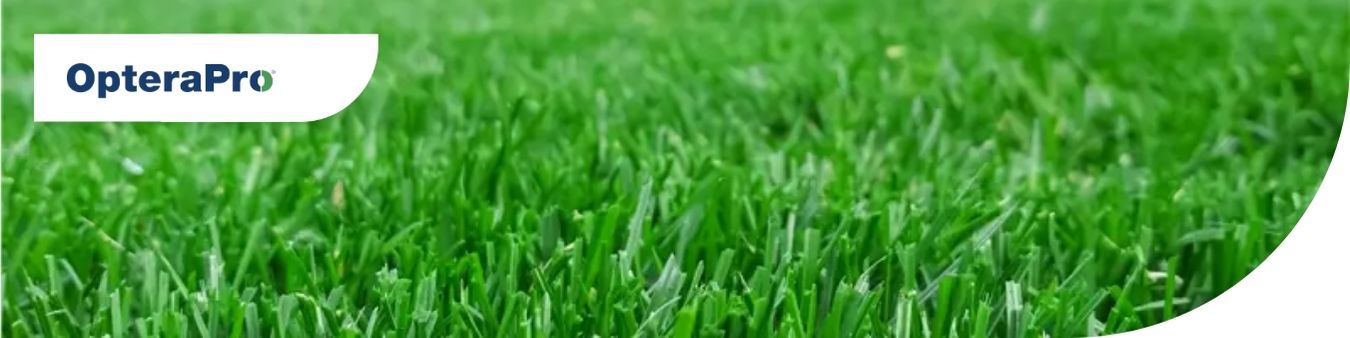 Healthy turfgrass treated with OpteraPro insecticide for golf courses and managed turf, providing reliable control of grubs, caterpillars, annual bluegrass weevil, billbugs, and other damaging insect pests.