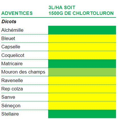 Spectre d'efficacité du Chlortoluron sur dicots