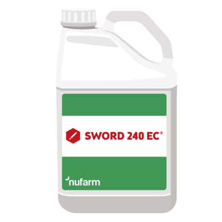 ufmウエダ× Catskill Research Inc. カンタータ2400 Sword 240 EC - combatere buruieni grau, secara, triticale