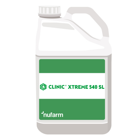 Clinic Xtreme - erbicid total