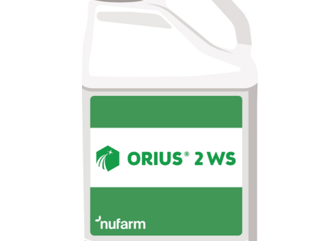 Orius - tratament sămânță grâu, orz, secară, ovăz, triticale